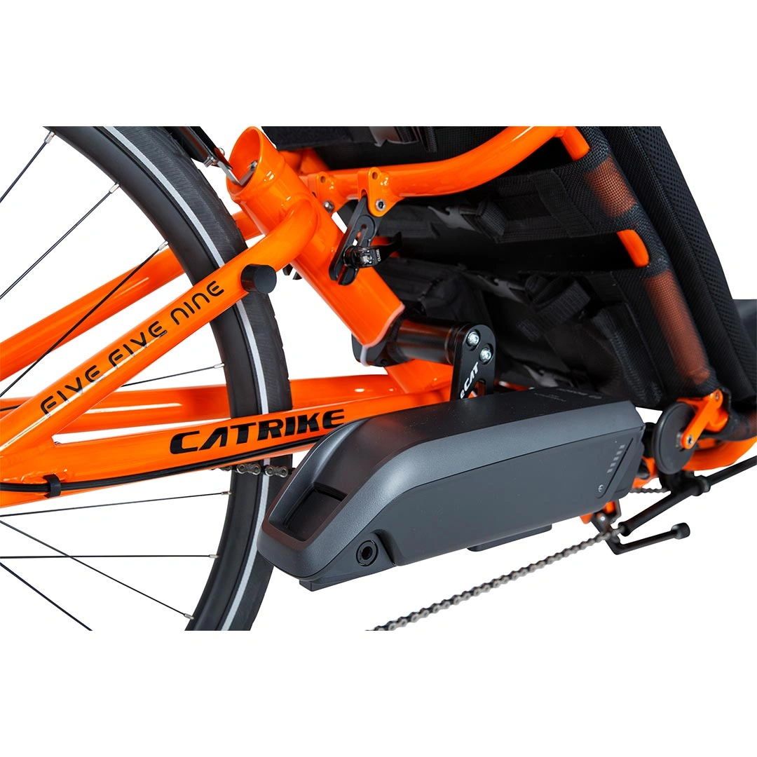 eCAT 5.5.9: Le Chat Tricycle Électrique Révolutionnaire, Liberté et Aventure sur Trois Roues!